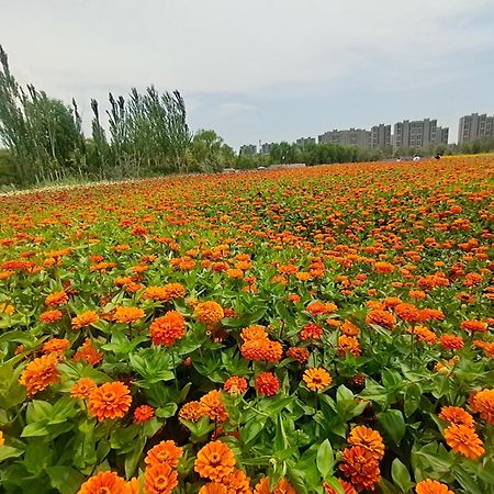 Primus Hotel Yinchuan Zewnętrze zdjęcie
