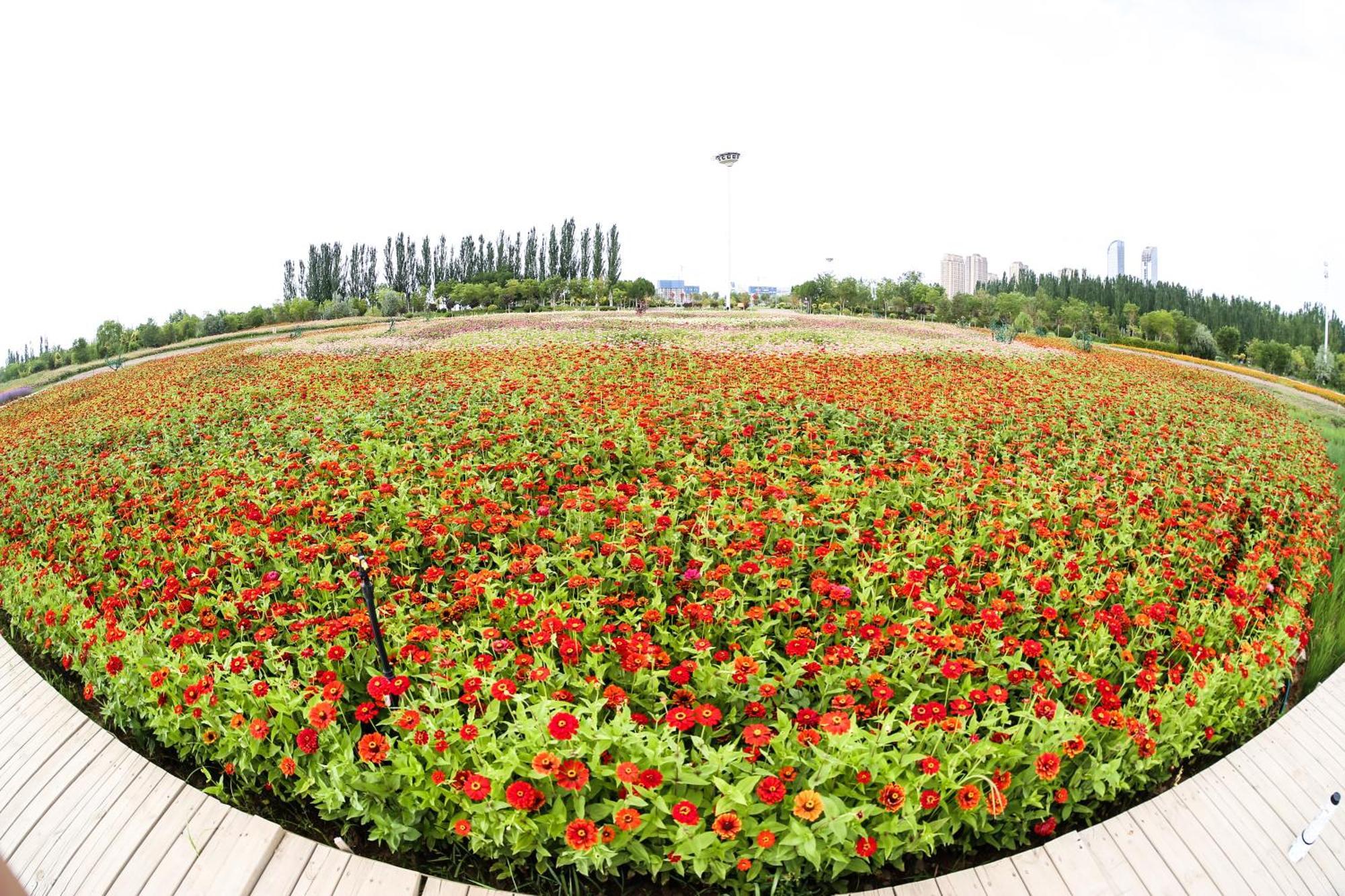 Primus Hotel Yinchuan Zewnętrze zdjęcie