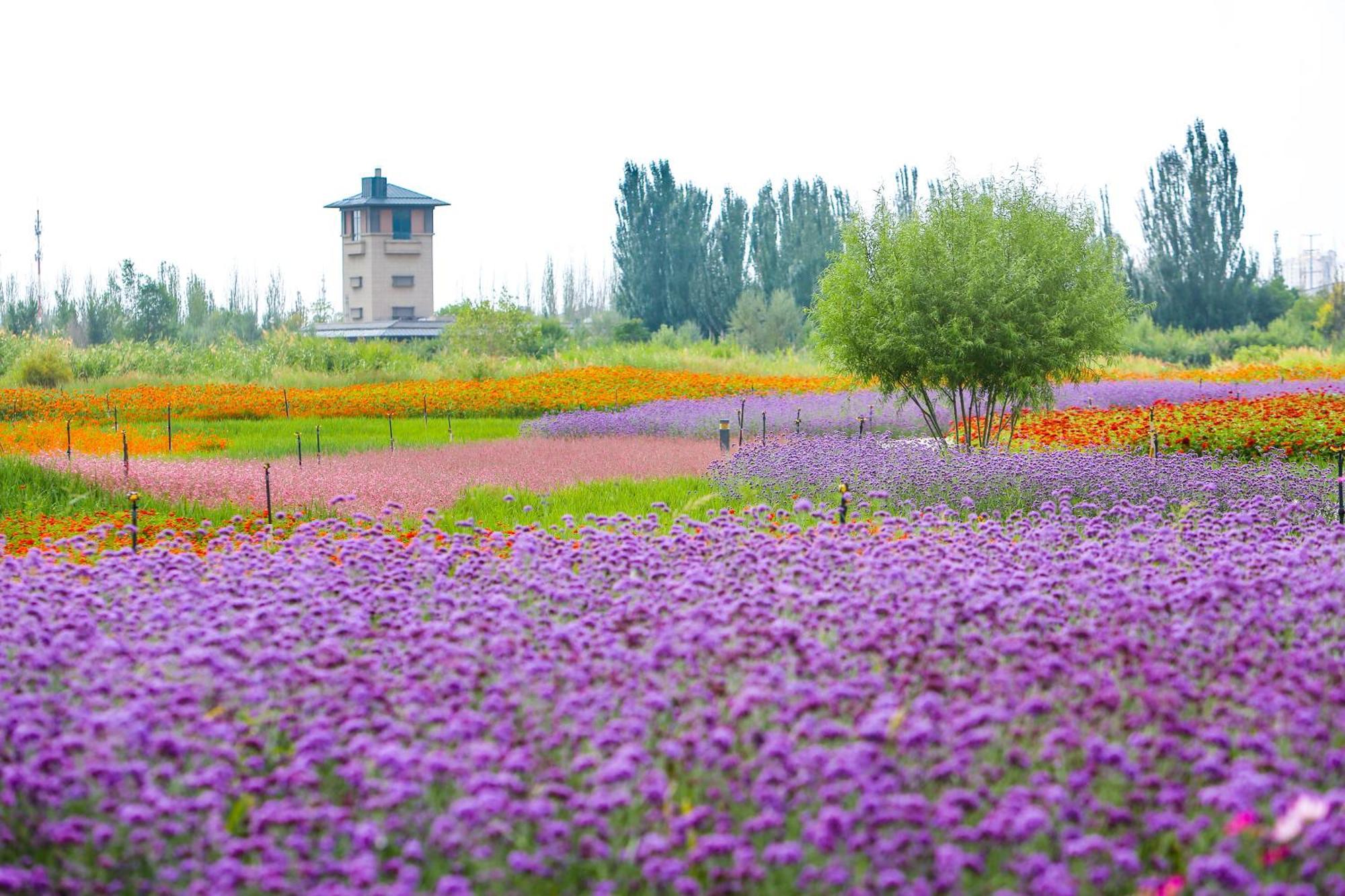 Primus Hotel Yinchuan Zewnętrze zdjęcie